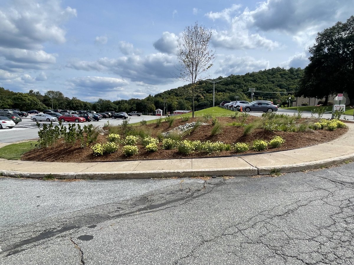 Jon Tallamy tweet media