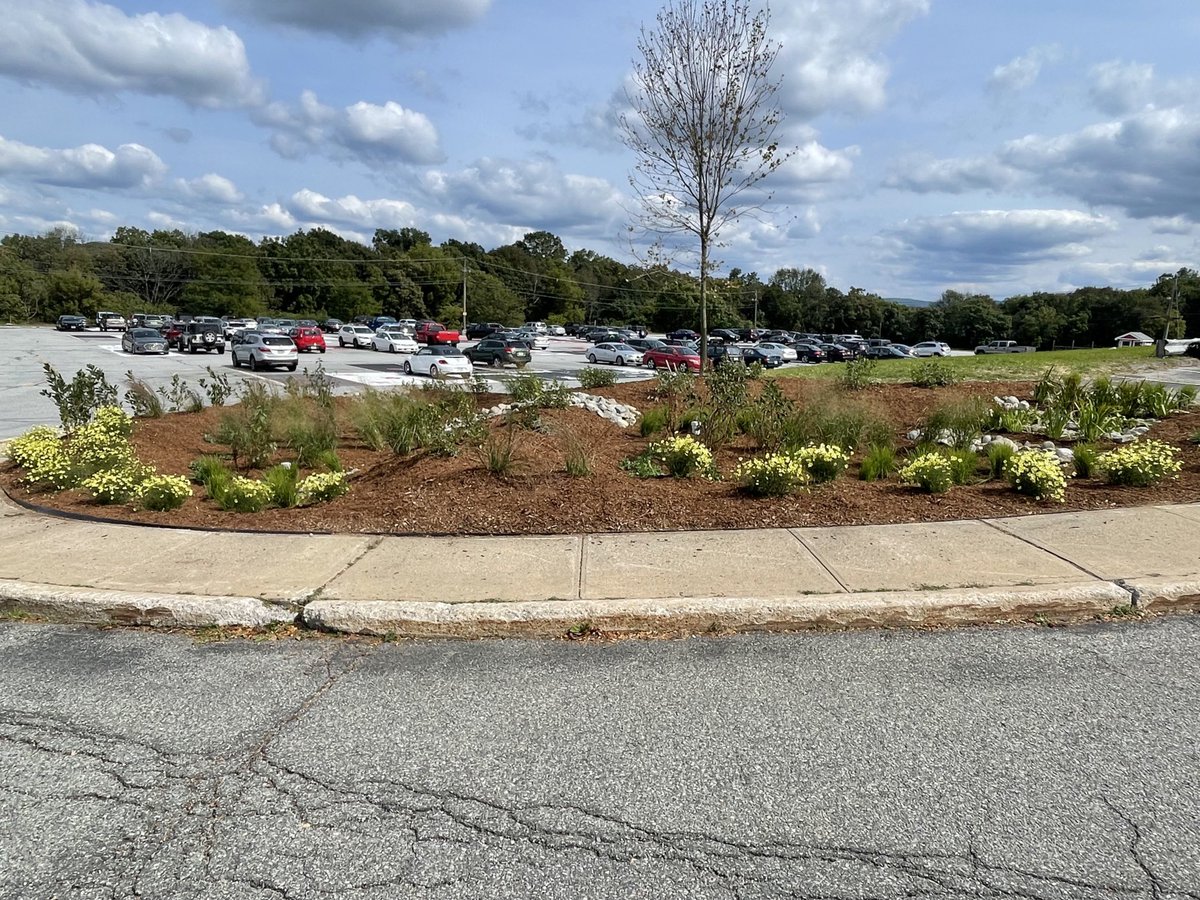 Jon Tallamy tweet media