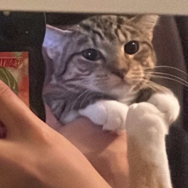 jules winnfield 🇸🇩🇵🇸🇱🇧 tweet media