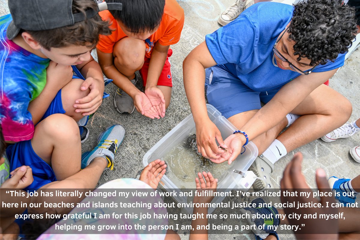 Save the Harbor tweet media