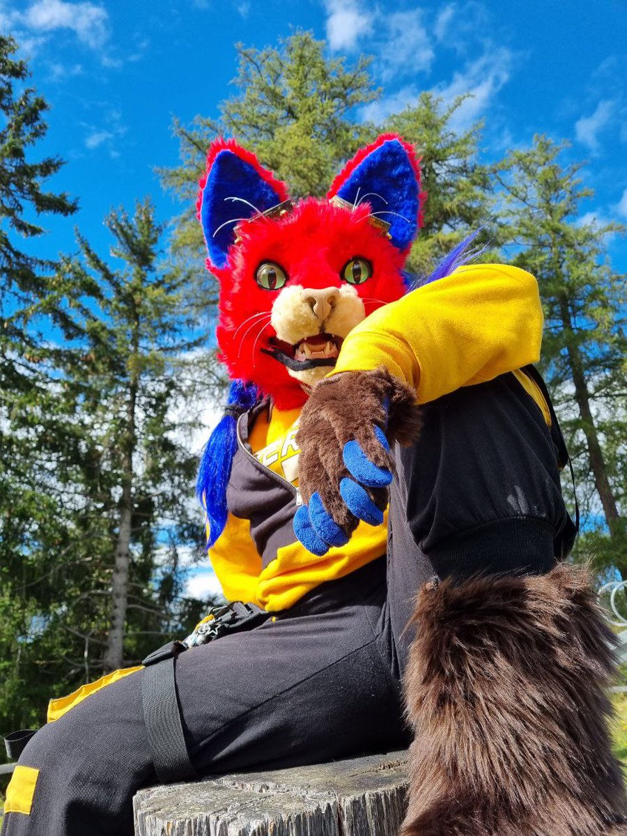 Happy #FursuitFriday ! pic's by
<a href="/bashthepanther/">Bash The Panther 🇨🇭</a> 
taken at <a href="/PawradiseCon/">Pawradise Con</a>