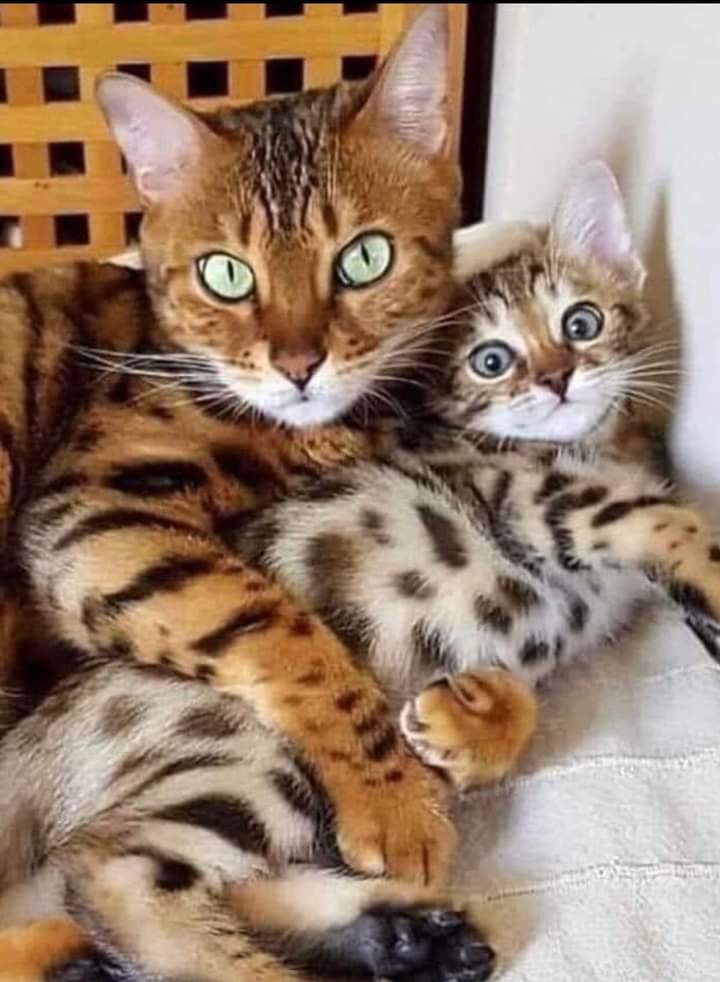 Giovann36202660's tweet image. Favoloso fine settimana ❤️ Fabulous weekend 😘