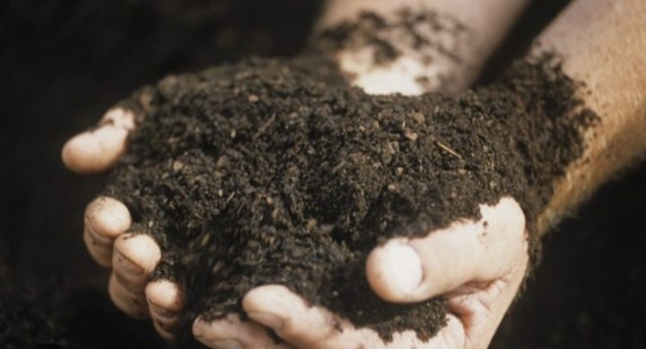 Iuicqueenscamp's tweet photo. Genesis 2:7 And the LORD God formed man of the dust of the ground, and breathed into his nostrils the breath of life; and man became a living soul
#InHisImage #Godlike #TrueJew https://t.co/VZThv0FOHC