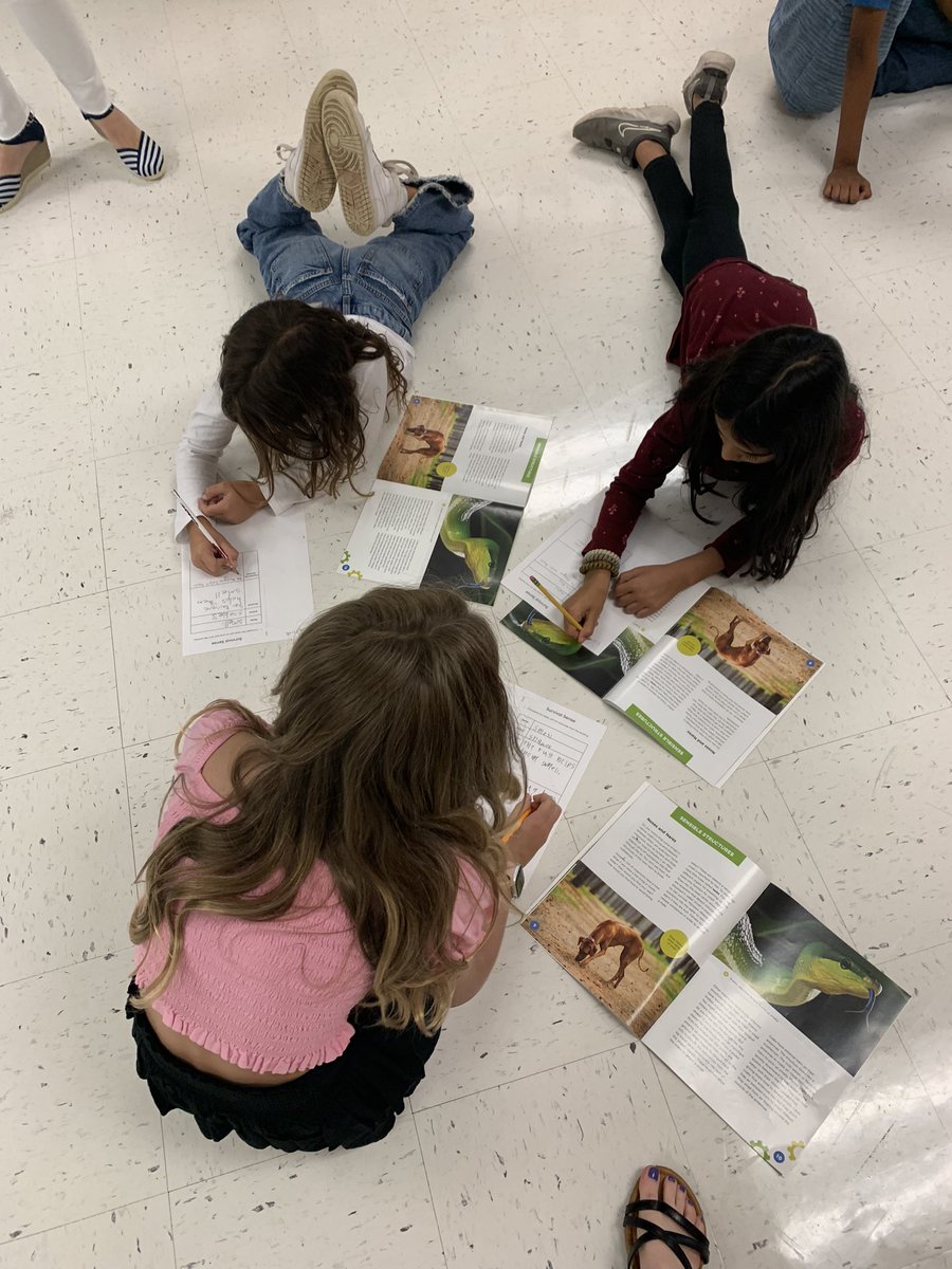 Mary Lattin tweet media