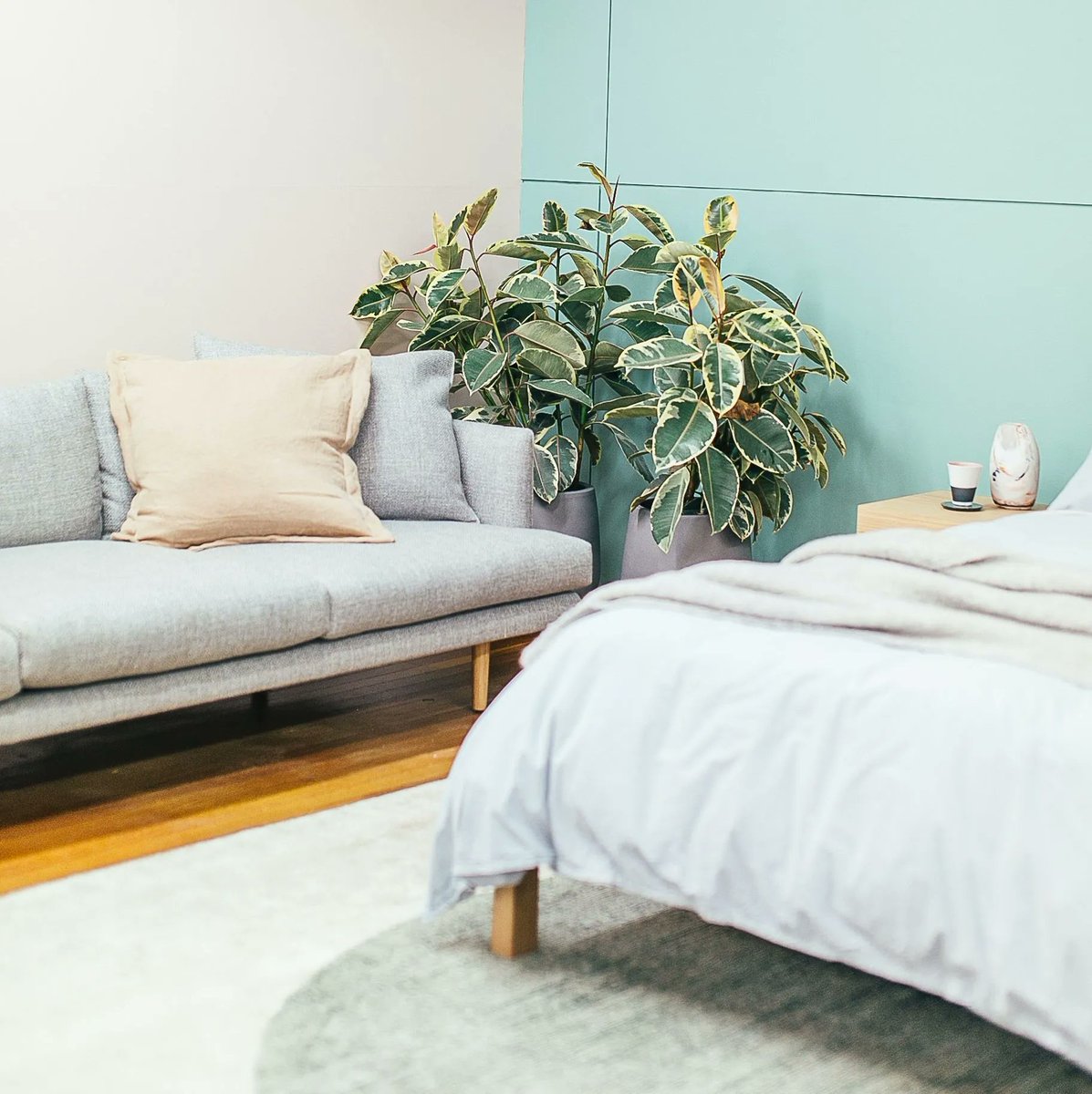 Research shows disrupted sleep can speed up your biological clock. Even short-term sleep changes can impact molecular aging markers. Is your sleep routine helping or aging you? 

#SleepScience #HealthyAging