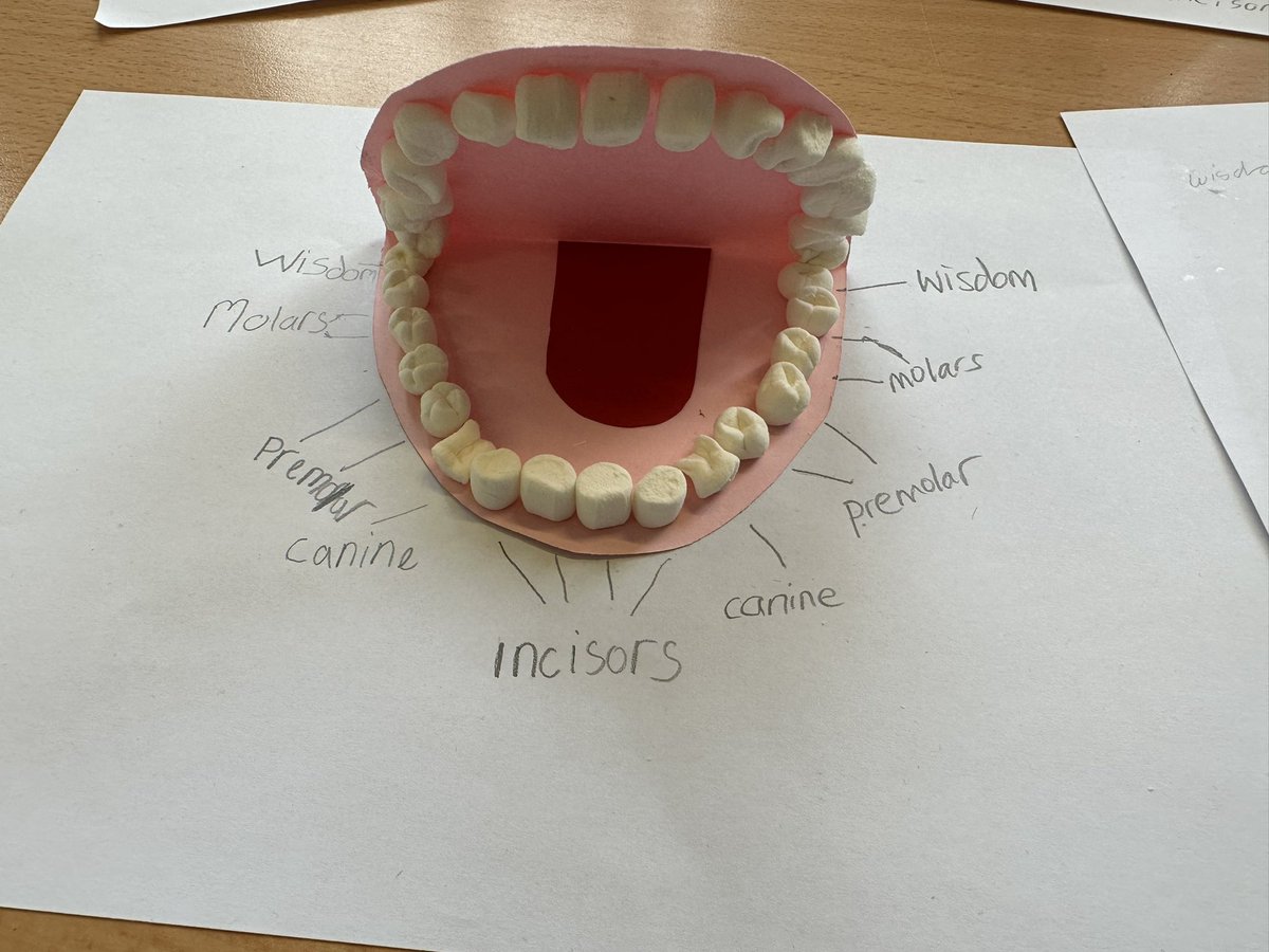 Miss Edwards tweet media