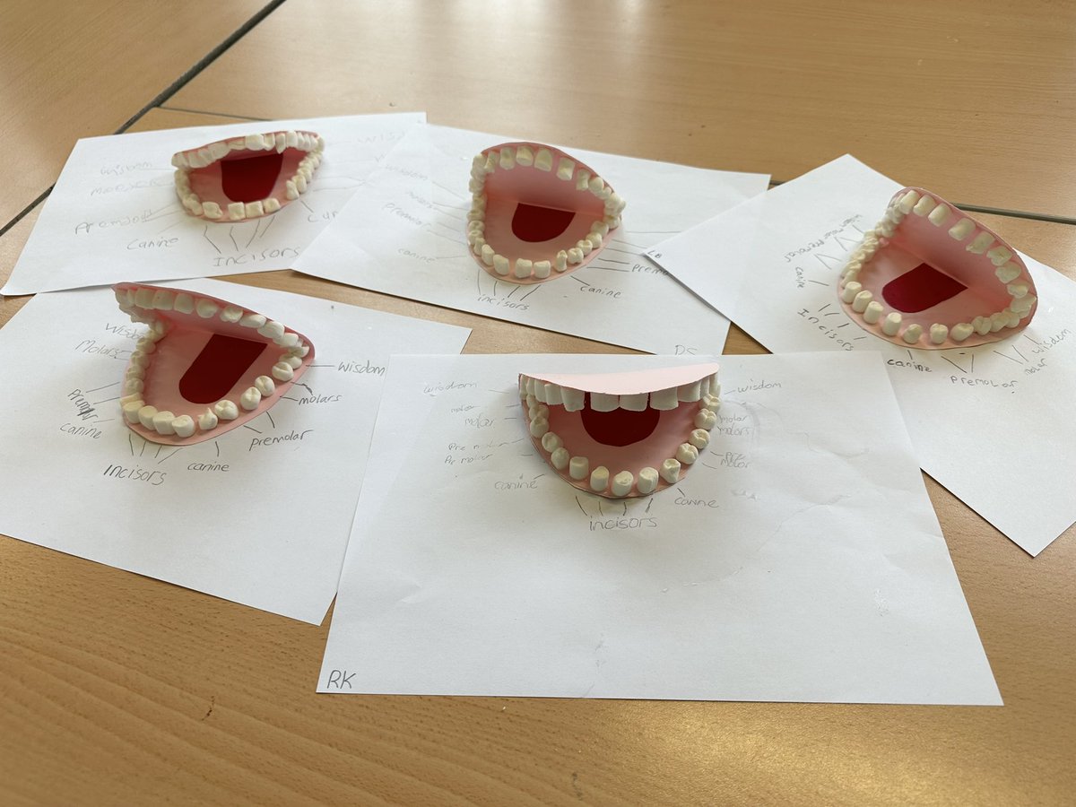 Today, we made marshmallow teeth 🦷🦷