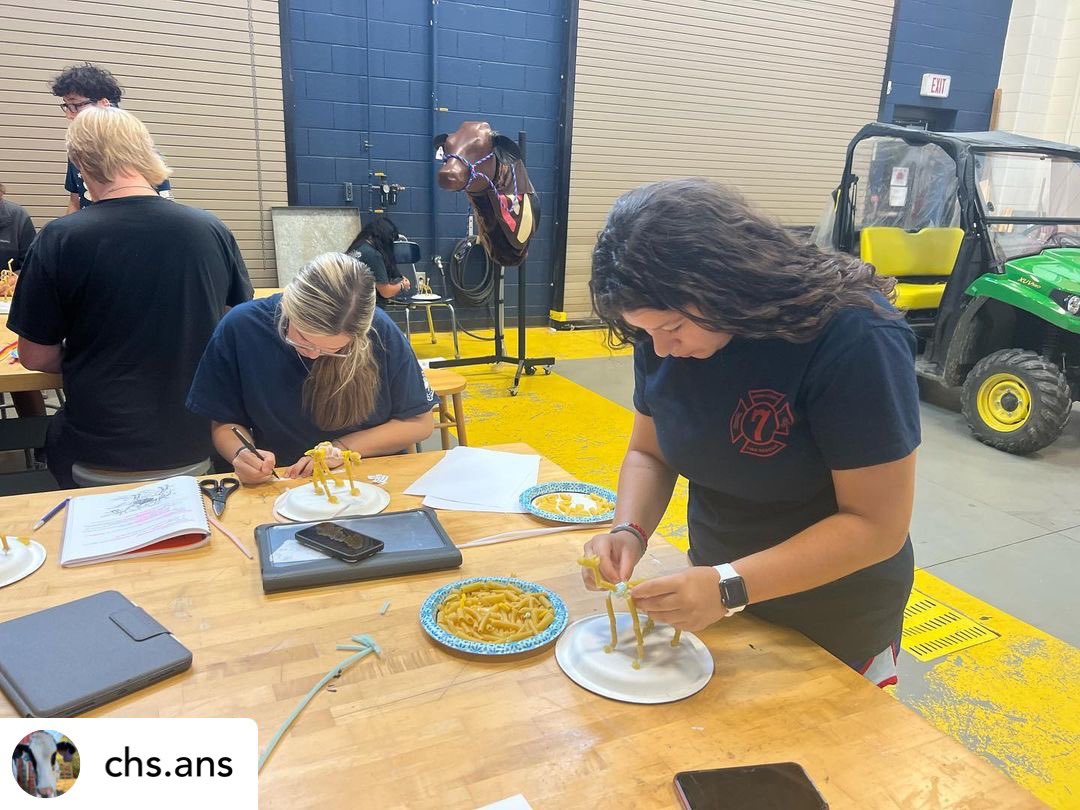 cloverhighcte's tweet photo. Equine Science created pasta horse skeletons where they got to learn more about the equine skeletal system! They were to create a standing model out of a variety of pasta noodles + label 36 bones! Did you know that horses have around 205 bones in their whole body? 🦴🐴 https://t.co/IFKBKdQbsq