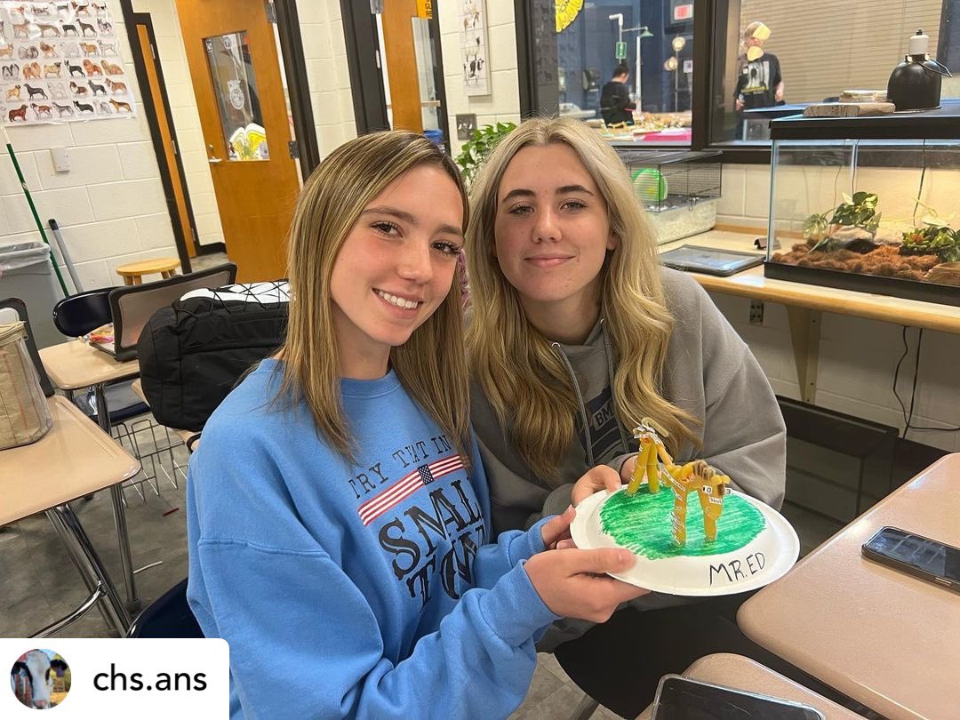 cloverhighcte's tweet photo. Equine Science created pasta horse skeletons where they got to learn more about the equine skeletal system! They were to create a standing model out of a variety of pasta noodles + label 36 bones! Did you know that horses have around 205 bones in their whole body? 🦴🐴 https://t.co/IFKBKdQbsq