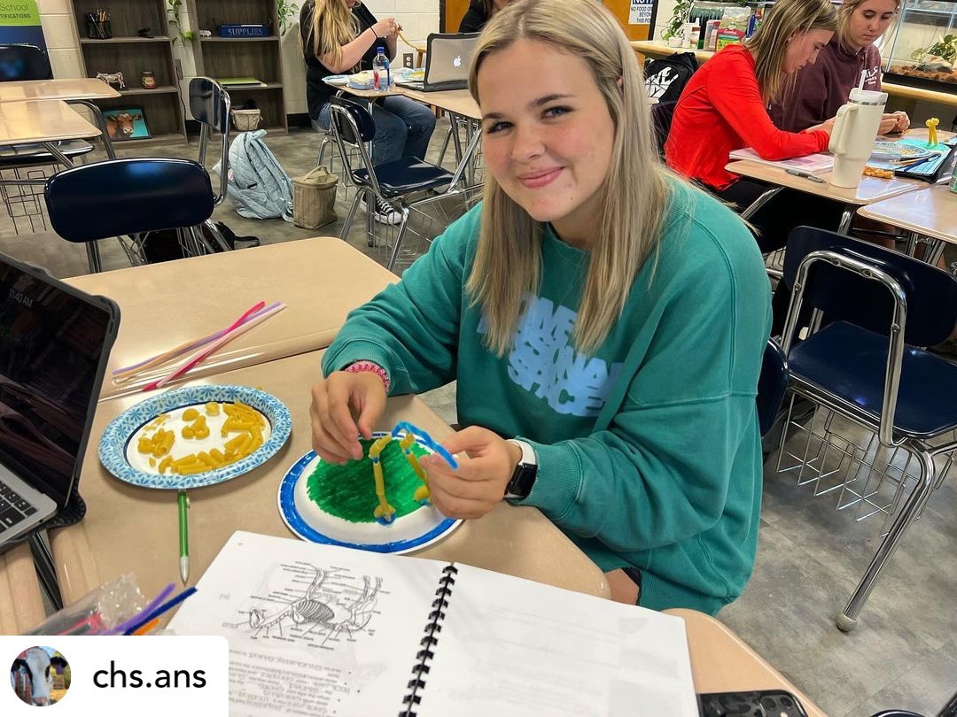 cloverhighcte's tweet photo. Equine Science created pasta horse skeletons where they got to learn more about the equine skeletal system! They were to create a standing model out of a variety of pasta noodles + label 36 bones! Did you know that horses have around 205 bones in their whole body? 🦴🐴 https://t.co/IFKBKdQbsq