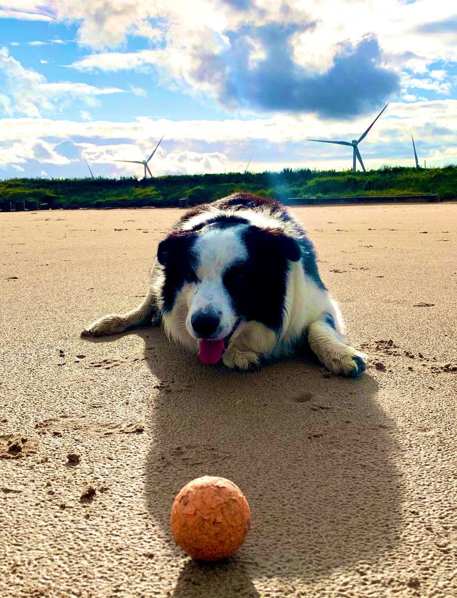 Good evening everyone and lots of love from your favourite furry seal  😃🦭🧡