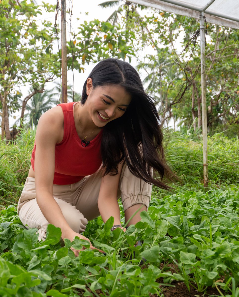 cececlnx's tweet photo. today na yung agri fam show ni aya can't wait to see our pretty farm girl in action 👩🏼‍🌾✨🌱 https://t.co/CdDmOaMCQ8