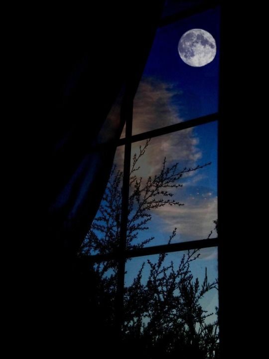 "Ve benim birdenbire 
yüzünü, gözünü değil, senin sesini göresim geldi.."