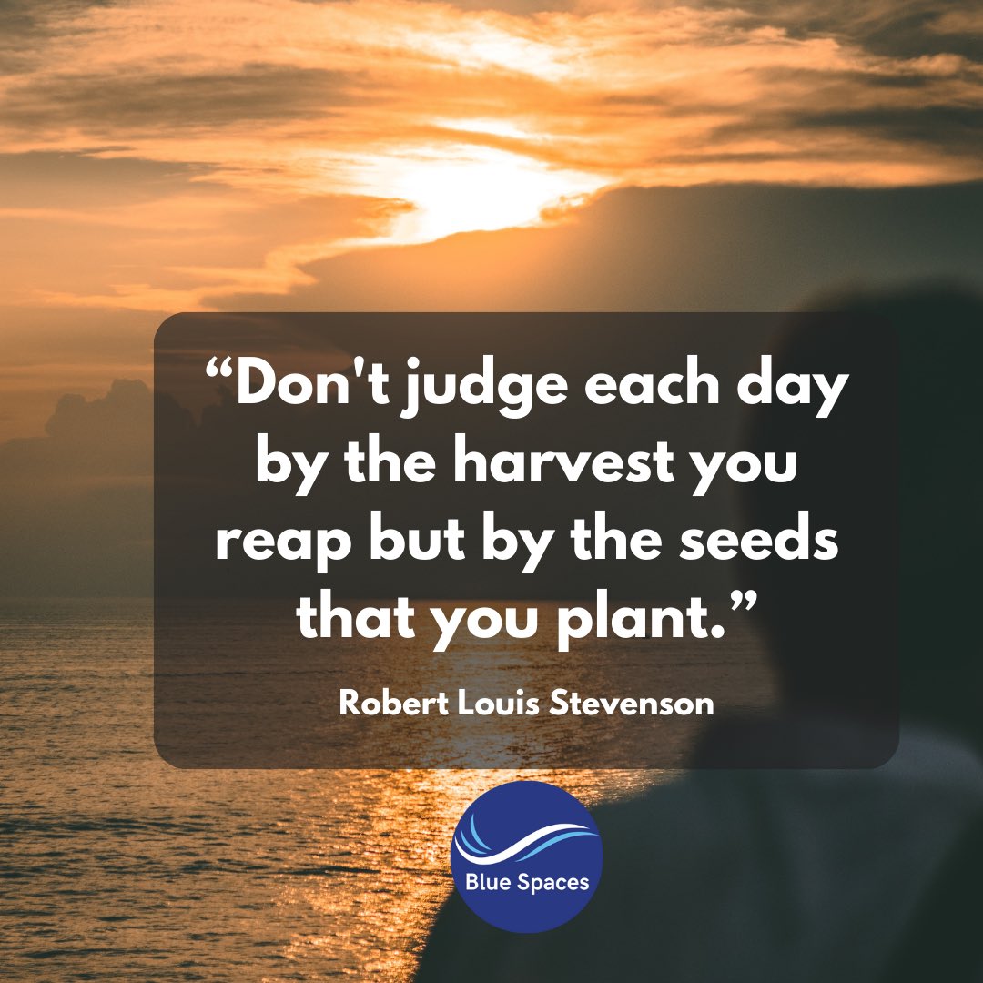 Blue Spaces tweet media