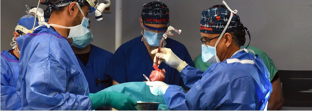 UM Medicine Faculty-Scientists and Clinicians Perform Second Historic Transplant of Pig Heart into Patient with End-Stage Cardiovascular Disease bit.ly/3t7AHmX