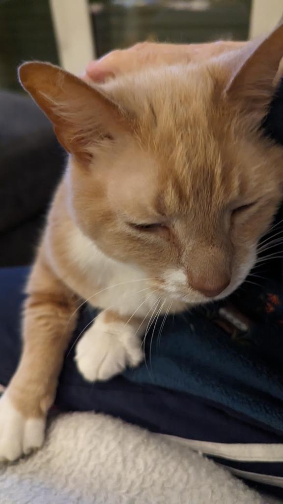 Eine anstrengende Woche geht zu Ende. So eine brauche ich so schnell nicht wieder!