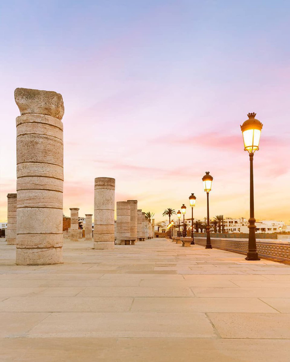 TFT MOROCCO tweet media