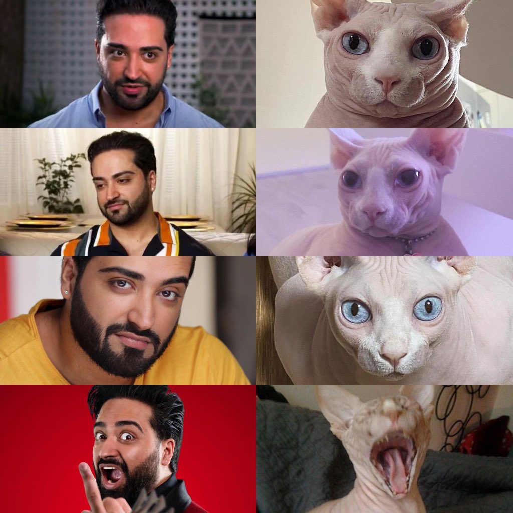 Idk who made this, but I’ll take it. #iloveamamasboy <a href="/TLC/">TLC Network</a>