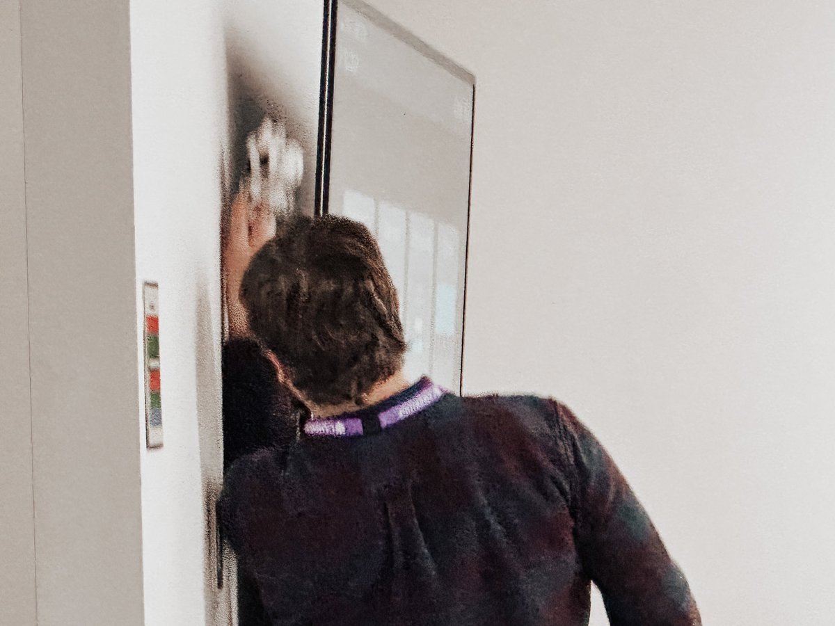 Let the cow hiding commence! 🐮✨