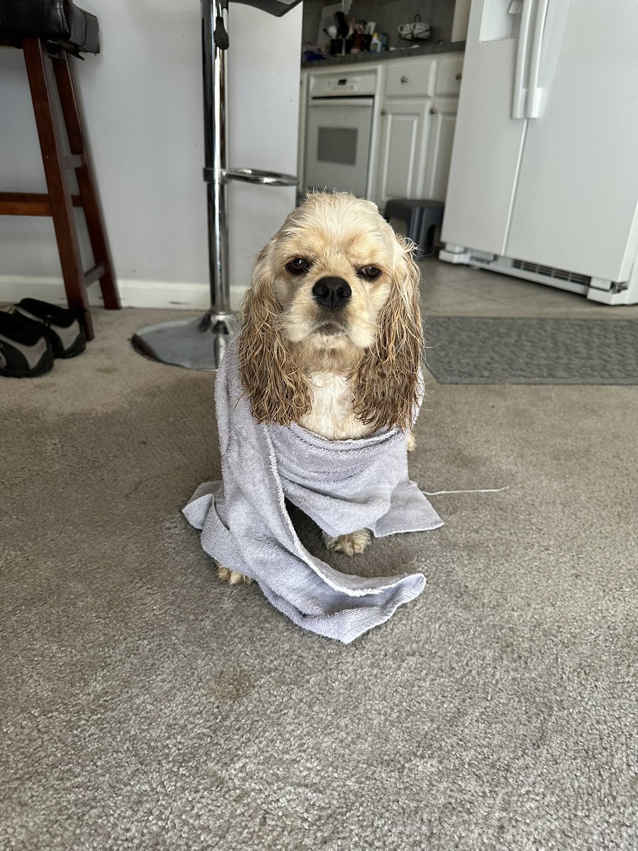 Aspen here, Momma took me to Lowe’s &amp; PetSmart. Then we went to the park with Aunt Jill. I learned to geocache &amp; got a good look at the river. When we came home I was bamboozled and got a bath. Sneaky Momma is sneaky. #DogOfTwitter #puppies #geocaching