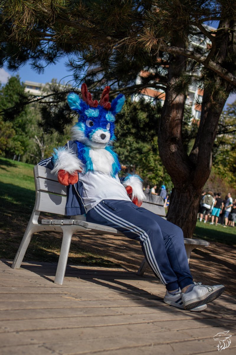 Astro_thedeer's tweet photo. My first ever #FursuitFriday 🥳
New deer has appeared! 🦌🦌🦌

📸: @andrew_sergal https://t.co/cVpeqGuOXp