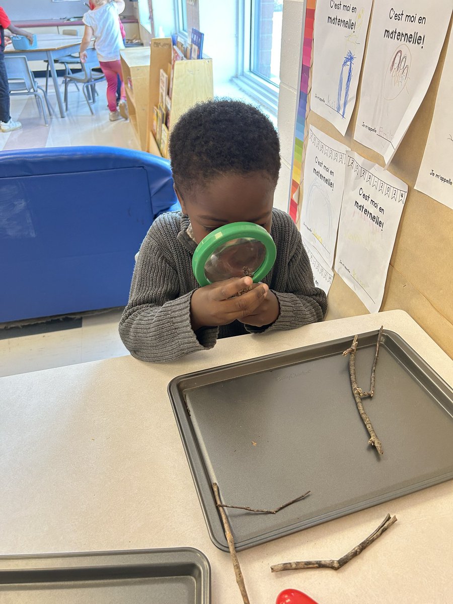 This week we collected items from our yard to explore at our science table! They loved using the magnifying glasses to take a closer look 🔍👀

#ocsbScience 
#ocsbKindergarten 
@StClareOCSB