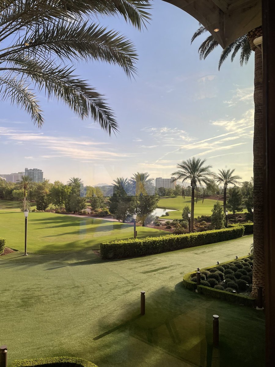 Options Master 🇺🇸 tweet media