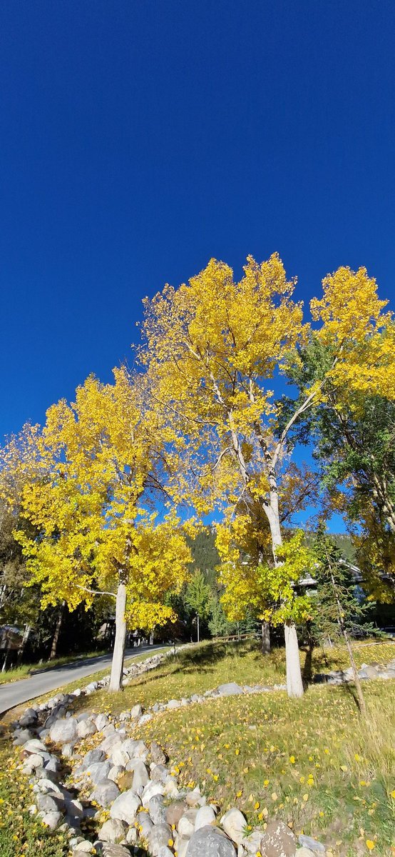 Wiep Klaas Smits (@smitslab) on Twitter photo Did I mention that besides great science #clostpath2023 also features stunning autumn weather? <a href="/ramelnyk/">Roman Melnyk</a> held word! Did I mention that besides great science #clostpath2023 also features stunning autumn weather? <a href="/ramelnyk/">Roman Melnyk</a> held word!