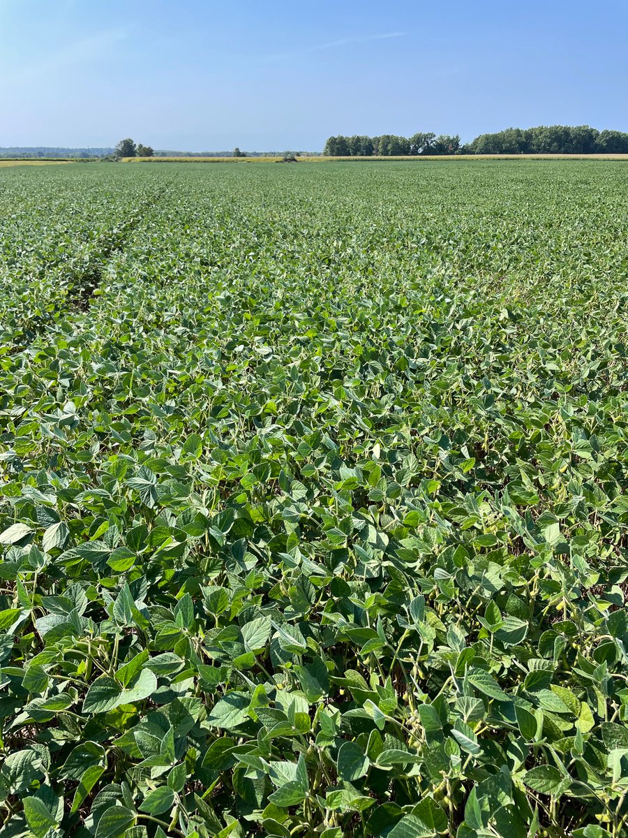 Jake Elgersma tweet media