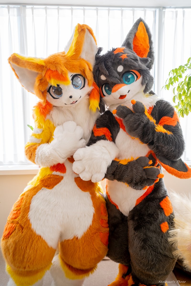 🧡🧡
🐉: <a href="/Blic_k/">ʙʟɪᴄᴋ</a>
📸: <a href="/Kkolibyeol/">꼬리별</a> 
#FursuitEveryday #Fursuit