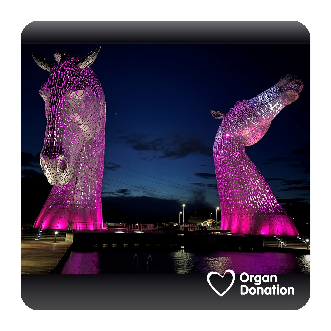 Simply breathtaking! 💕

The Kelpies looking splendid for #OrganDonationWeek.

Lots of landmarks across the UK have turned pink to encourage people to confirm their organ donation decision.

Find your nearest attraction and more pictures ➡️ orlo.uk/ikD0v