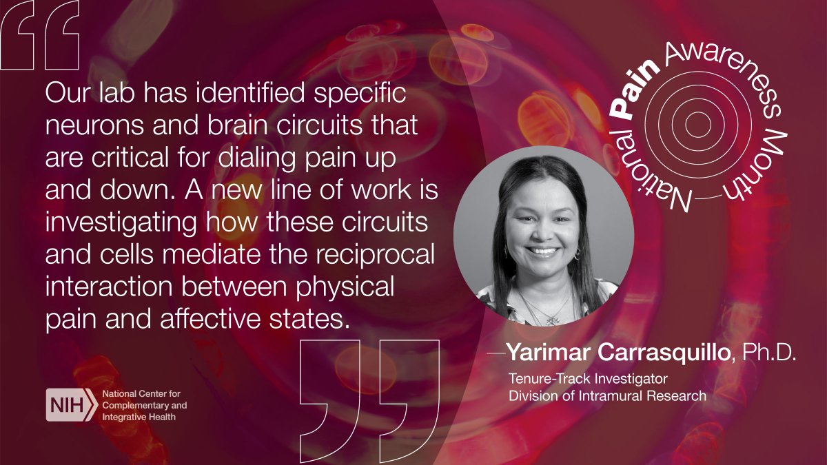 NIH NCCIH (@nih_nccih) on Twitter photo The experience of pain is more than just physical pain. Dr. Carrasquillo (<a href="/YarCarLab/">Yarimar Carrasquillo</a>) is working to improve diagnosis and treatment for chronic pain & studying how perceived pain can be driven by changes in the nervous system: bit.ly/3iQXU86
#NIHPainProgress The experience of pain is more than just physical pain. Dr. Carrasquillo (<a href="/YarCarLab/">Yarimar Carrasquillo</a>) is working to improve diagnosis and treatment for chronic pain & studying how perceived pain can be driven by changes in the nervous system: bit.ly/3iQXU86
#NIHPainProgress