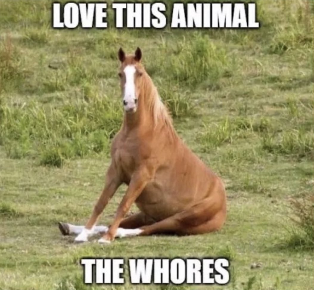 The Notorious J.O.V. (@whotfisjovana) on Twitter photo 