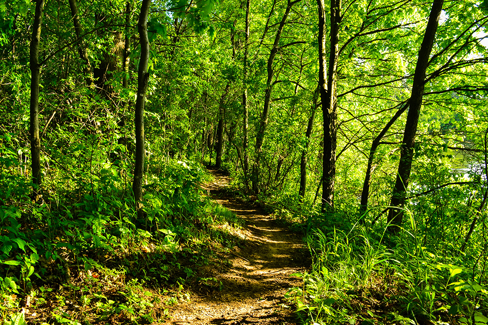 Explore Menomonie tweet media