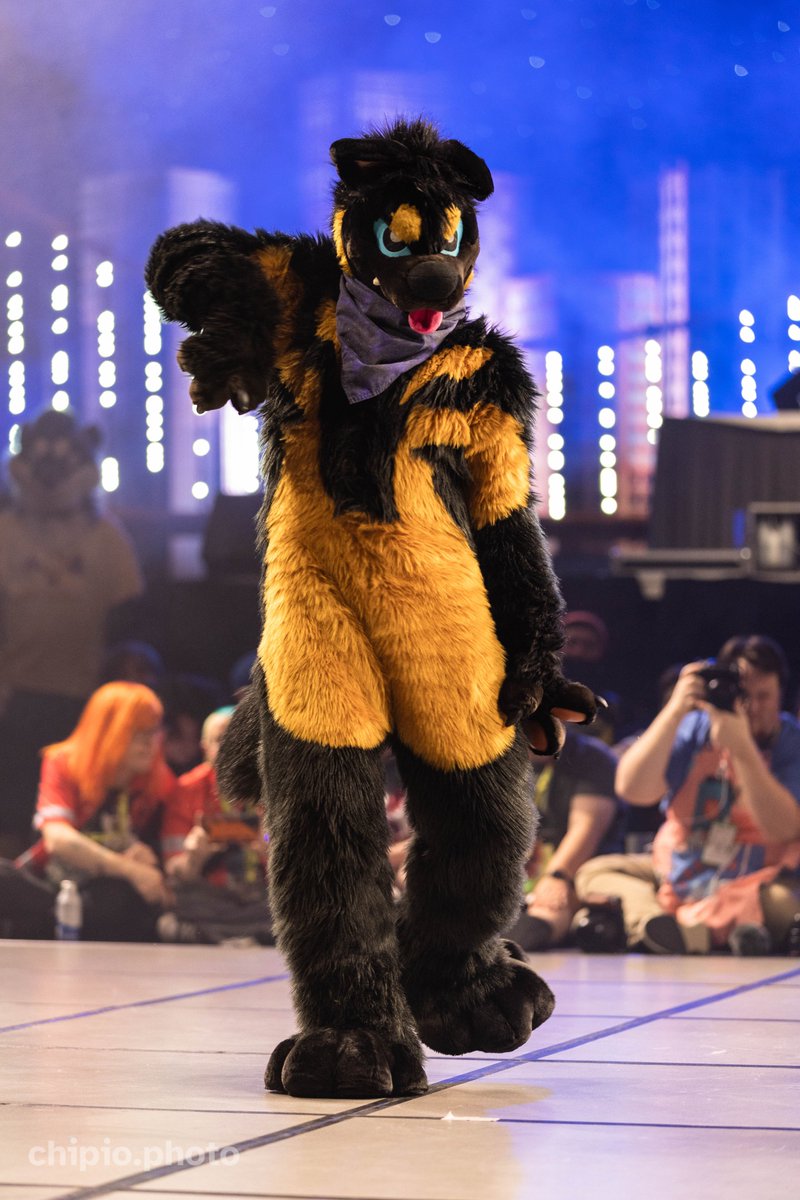 Hyshaji Nightdragon tweet media