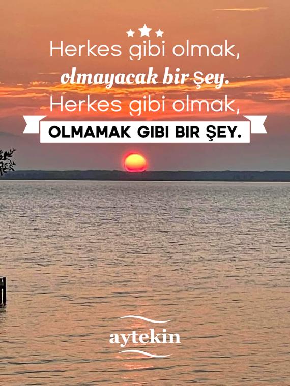 Herkes gibi olmak
  Olmayacak bir şey.

Herkes gibi olmak 
    OLMAMAK GİBİ BİR ŞEY