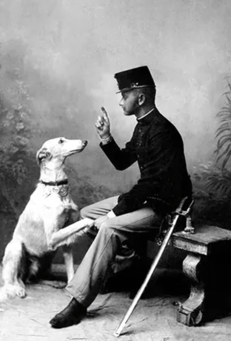 Lucie Fur tweet media