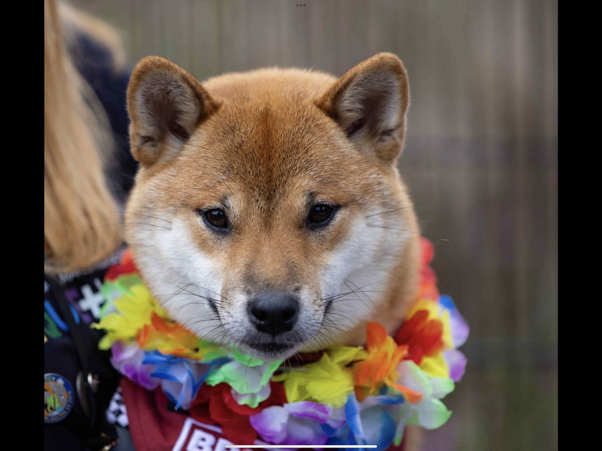 Karen jones tweet media