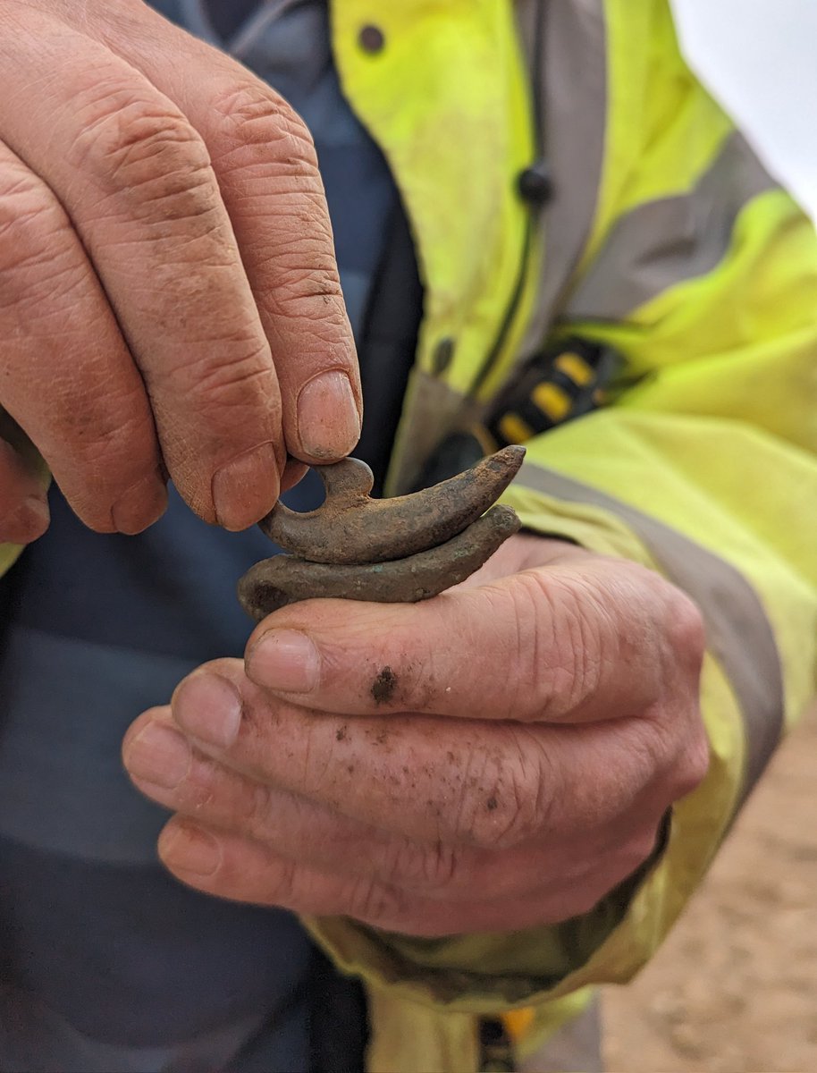 Harriet Coulton tweet media