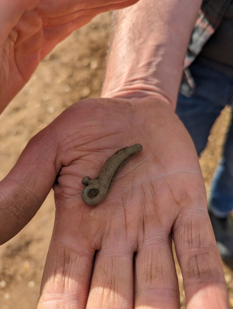 Harriet Coulton tweet media