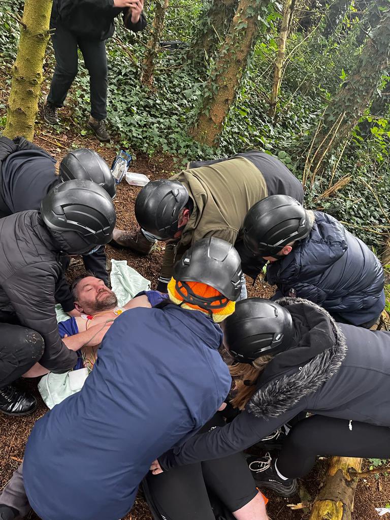 David Wilson tweet media