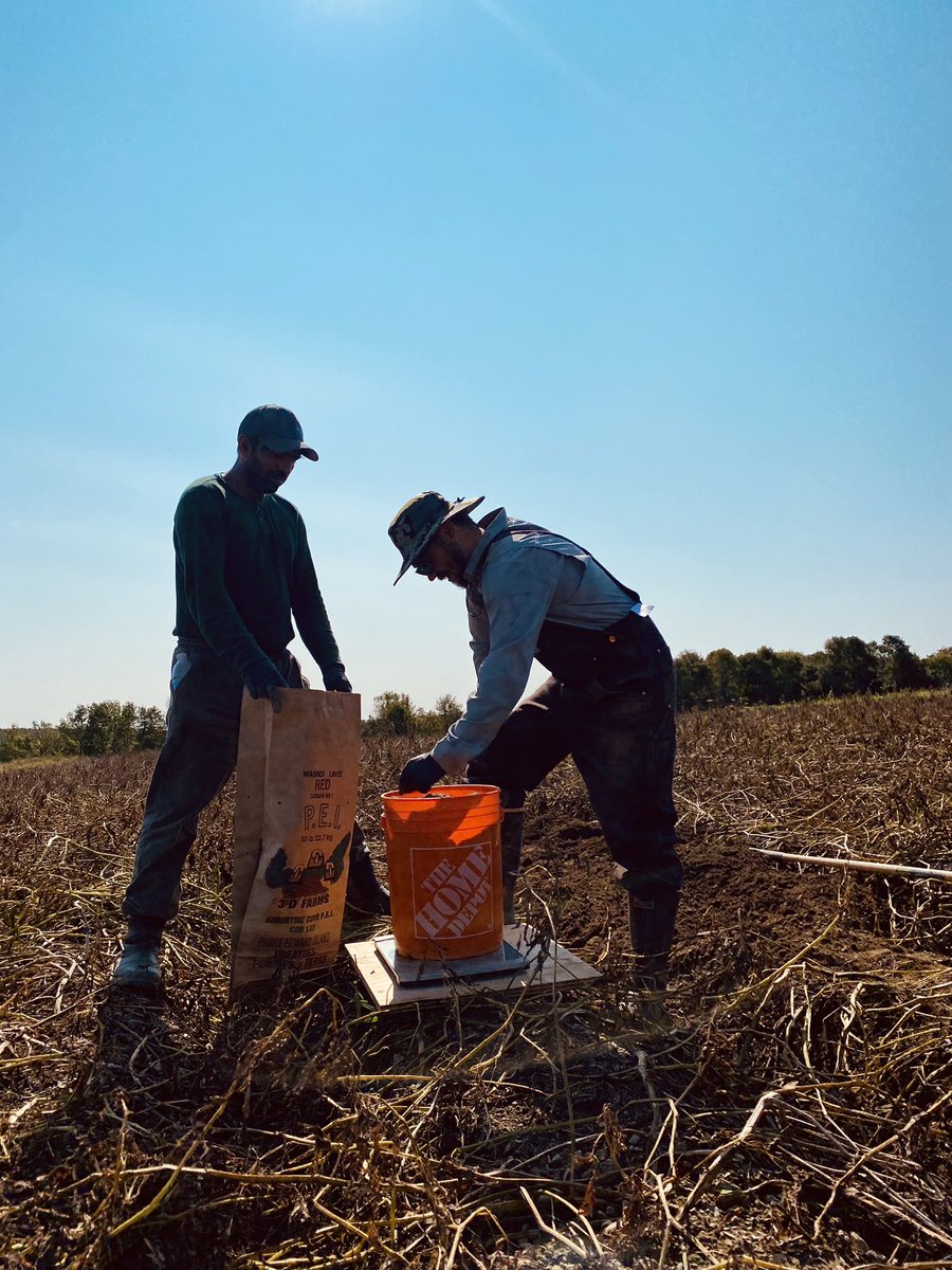 Hard working guys @ASFAgriculture