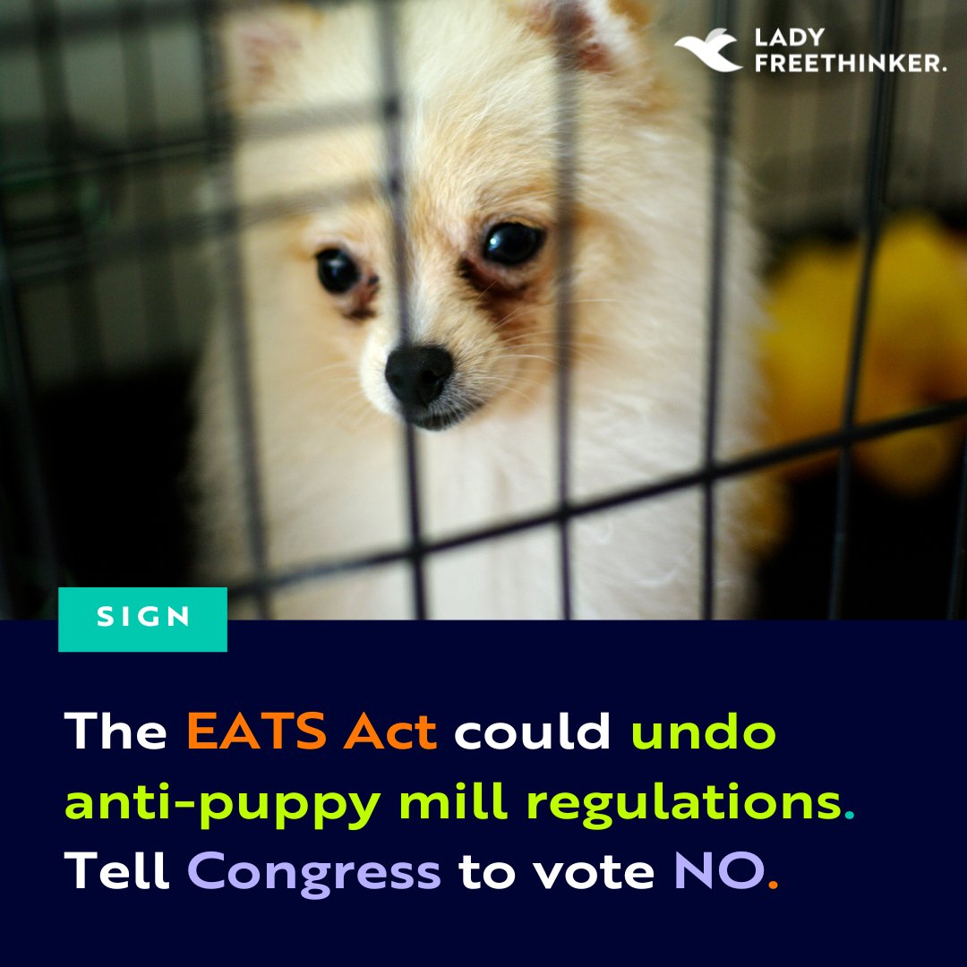 Did you know that the #EndingAgriculturalTradeSuppressionAct could affect #dogs as well as #farmedanimals? The #EATSact could effectively undo regulations that stop #puppymills from doing business in states with anti-puppy mill legislation. Take ACTION! ➡️ ladyfreethinker.org/sign-stop-disa…