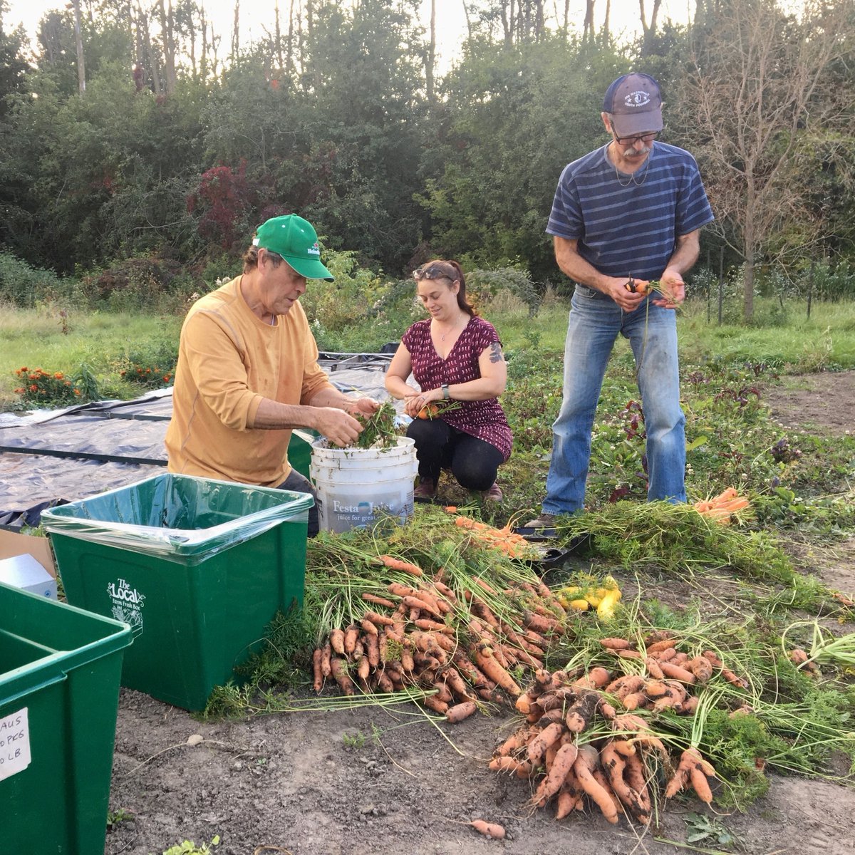 The Local CFC tweet media