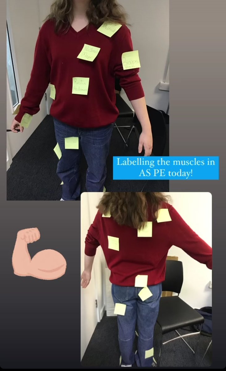 nhehs_sport's tweet photo. And a fun lesson this morning with @nhehs Year 12 AS Sport Science students, getting to label each other's muscle groups! 🏷️

#NHEHSsport #learningisfun #SportScience #musclegroups https://t.co/EzN6UyBaGB