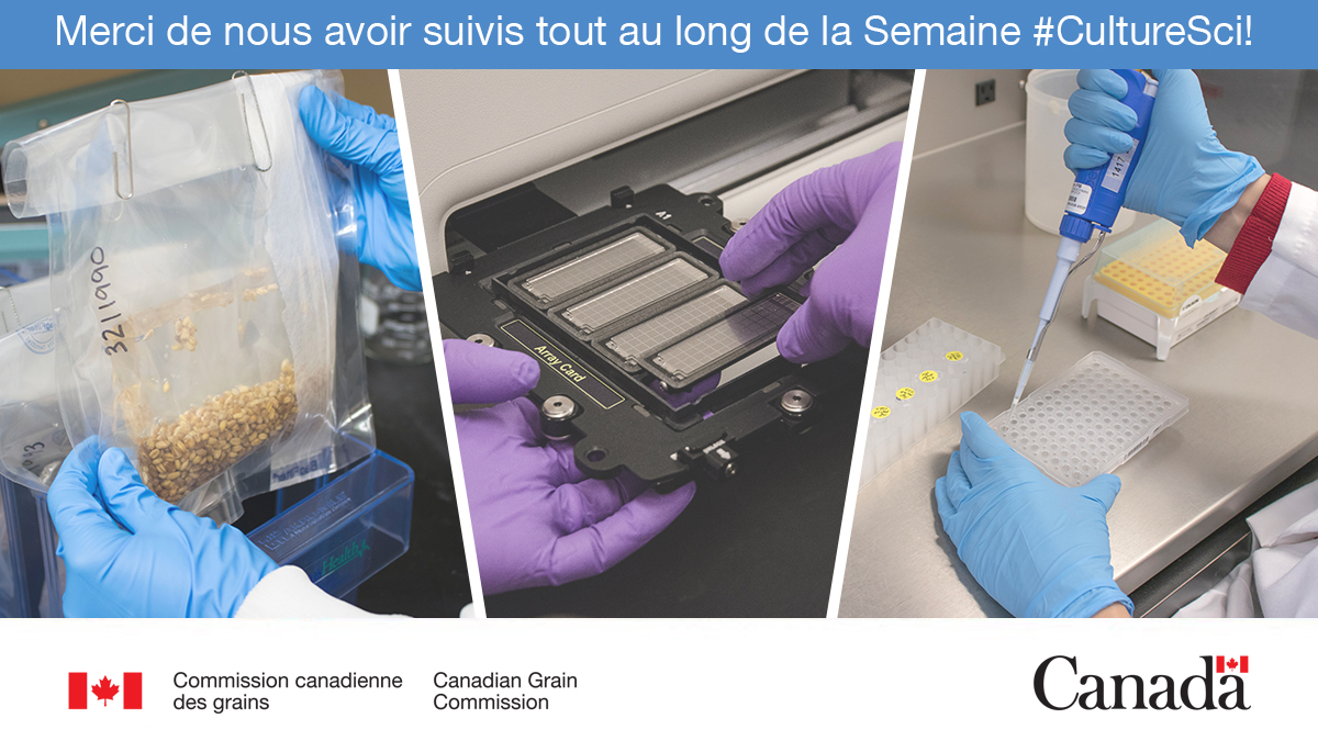 Merci de nous avoir suivis tout au long de la Semaine #CultureSci! Vous pouvez en savoir plus sur notre Laboratoire de recherches sur les grains en consultant notre site Web: ow.ly/cihB50PNp7p #AgCan #RechercheAgricole #ScienceAg