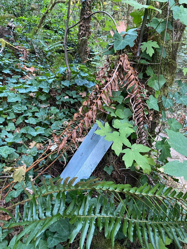 drop's tweet photo. In celebration of International Hobbit Day, we have hidden a few Lord of the Rings themed keyboards around portions of the US We invite you to embark on your own geocaching journey to find them. Get the coordinates here: https://t.co/mjGw6SPF82 https://t.co/lM9KgmUjq0