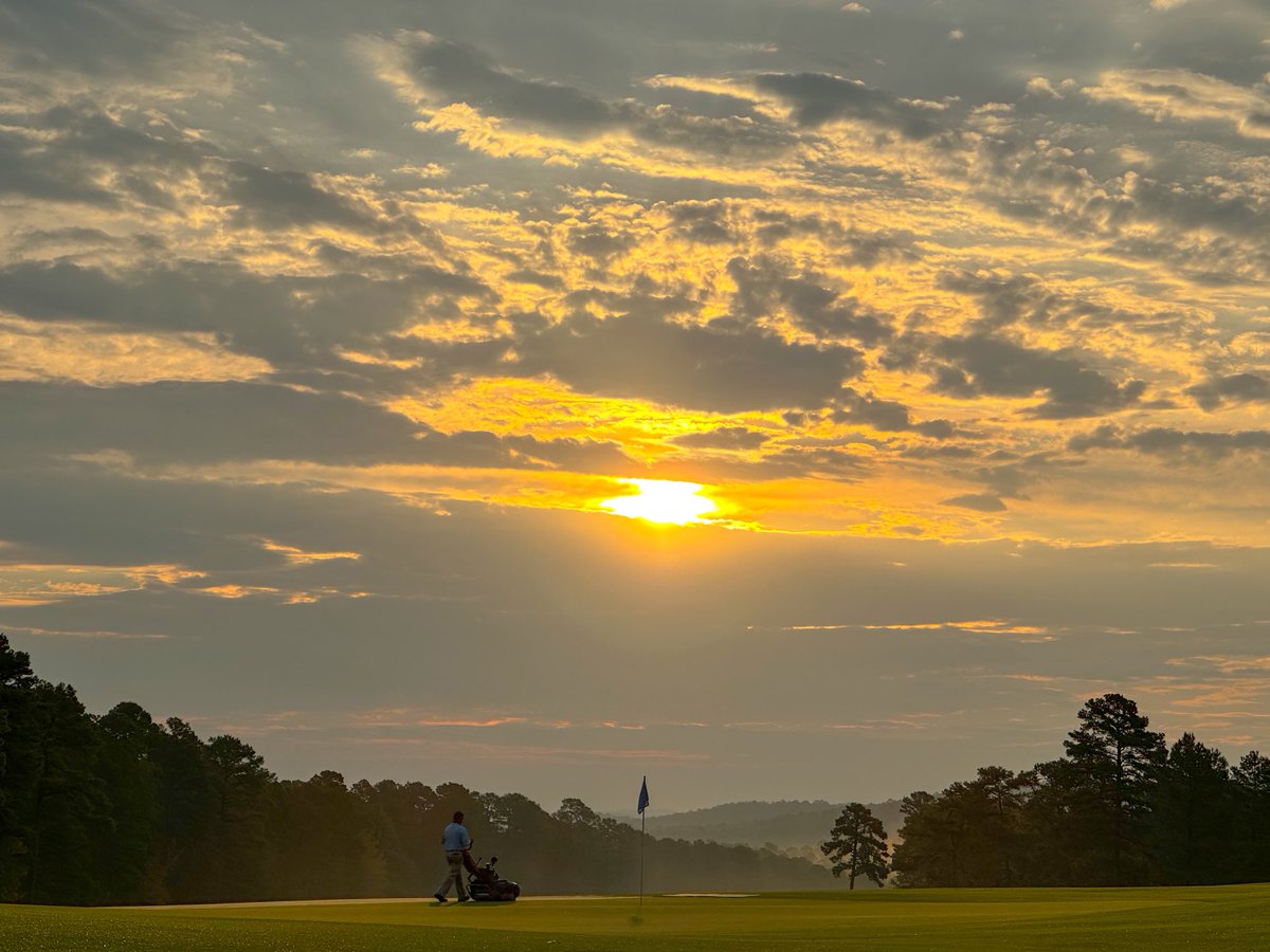 Koji Mitchell tweet media