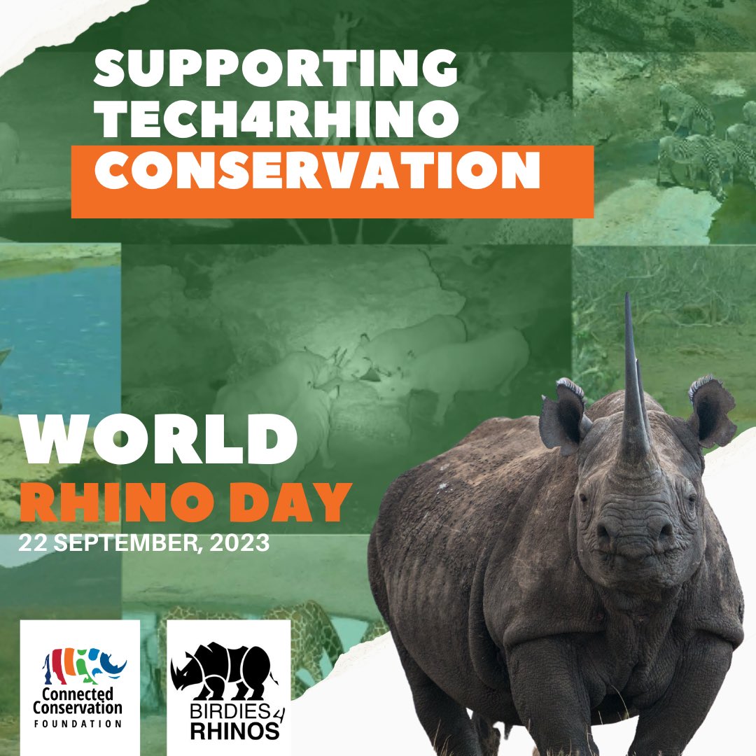 🦏Protecting rhinos on #WorldRhinoDay! Proud to be part of @Birdies4Rhinos, supporting projects that save endangered Black & White rhinos.   Working with @Connected_Cons, we’re supporting vital #tech for rangers and parks, strengthening conservation ⬇️   connectedconservation.foundation/projects/sera-…