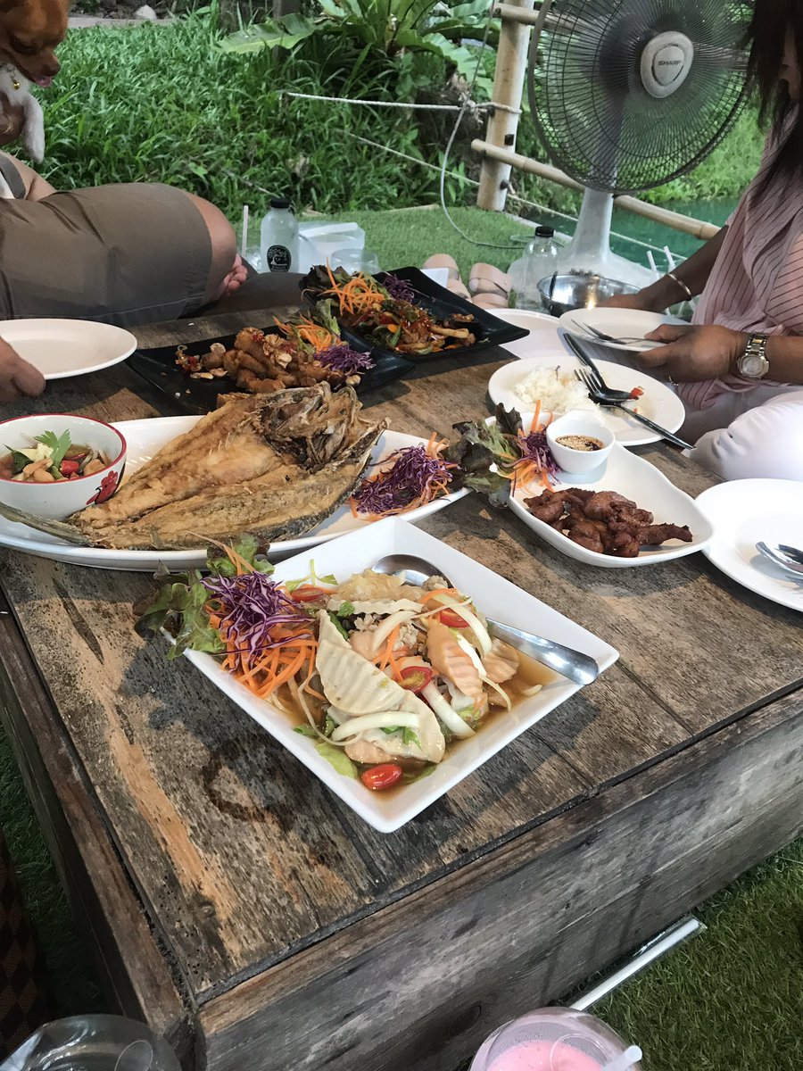S3XYSTANNIS's tweet photo. saw some big crocs and had food on a pond of fish during my last day of thailand <\3 https://t.co/o2tiG1EUMB